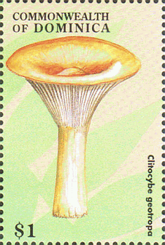 Briefmarke