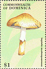 Briefmarke