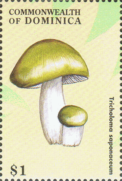 Briefmarke