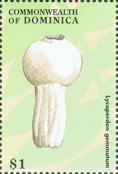 Briefmarke