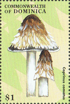 Briefmarke