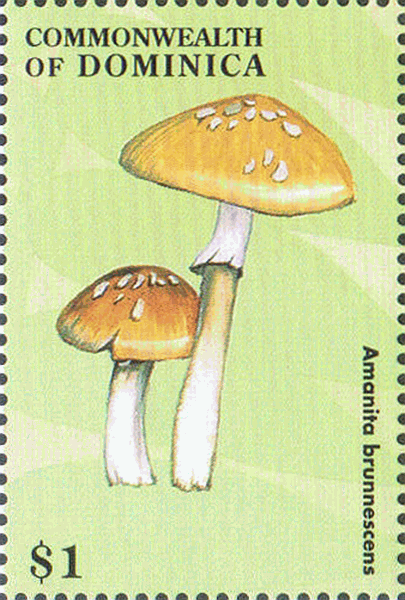 Briefmarke