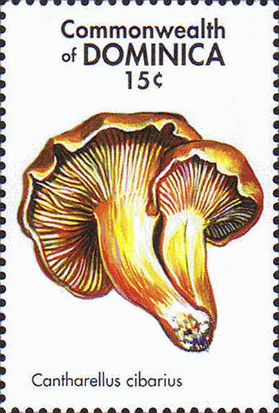 Briefmarke