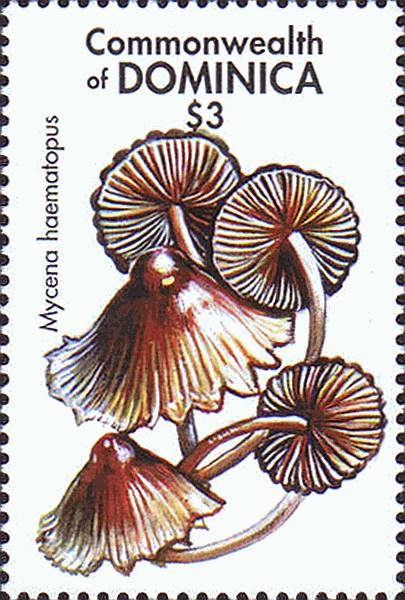 Briefmarke