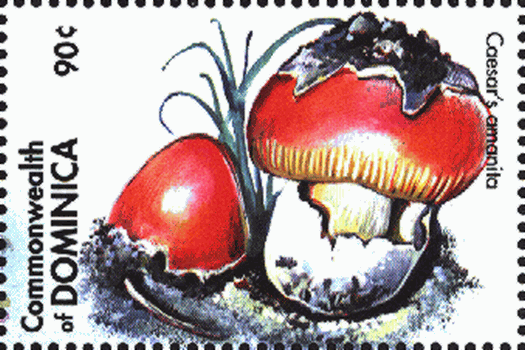 Briefmarke