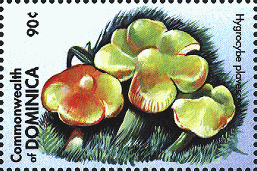 Briefmarke