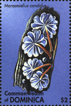 Briefmarke