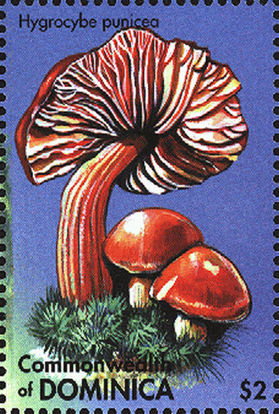 Briefmarke