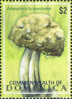 Briefmarke