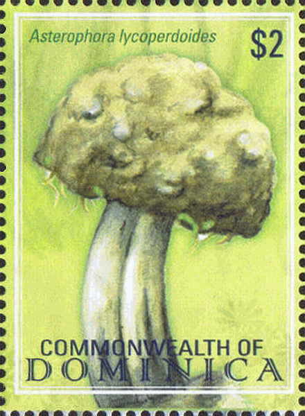 Briefmarke
