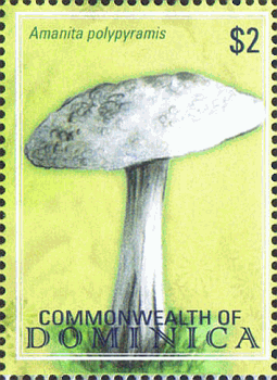 Briefmarke