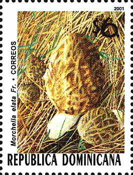 Briefmarke