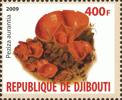 Briefmarke