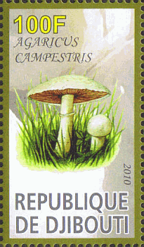Briefmarke