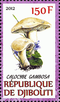 Briefmarke