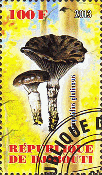 Briefmarke