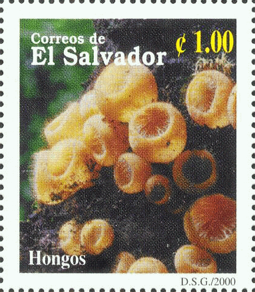 Briefmarke