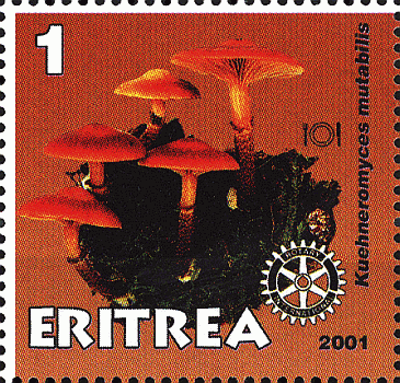 Briefmarke