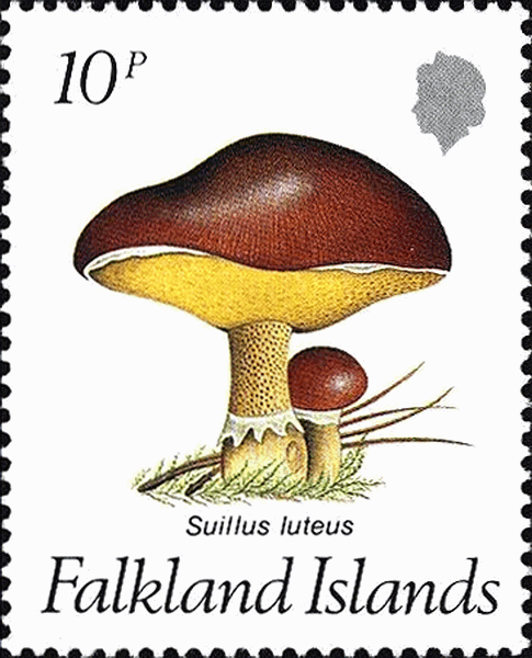 Briefmarke