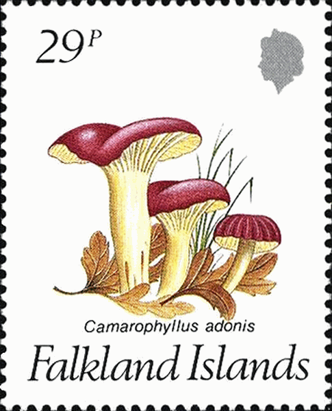Briefmarke
