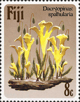 Briefmarke