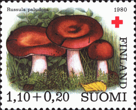 Briefmarke