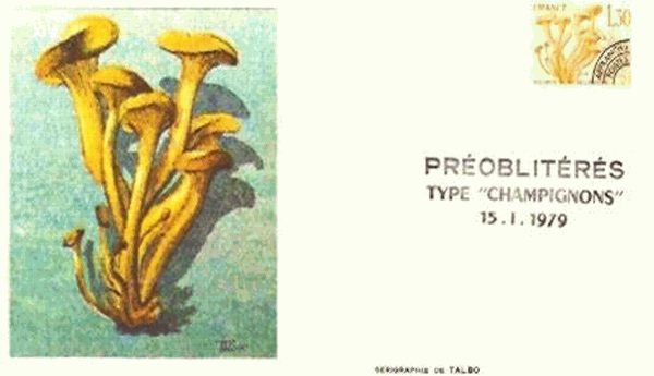 Aerogramm