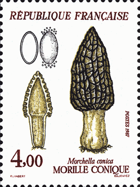 Briefmarke
