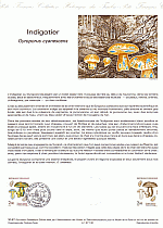 Ersttagsblatt