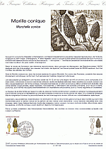 Ersttagsblatt