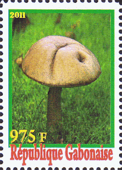 Briefmarke