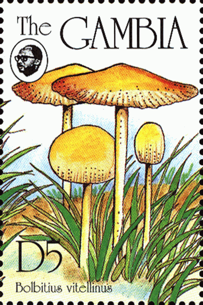 Briefmarke