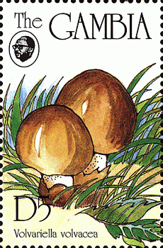 Briefmarke