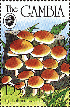 Briefmarke