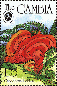 Briefmarke