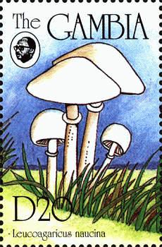 Briefmarke