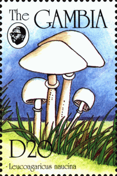 Briefmarke