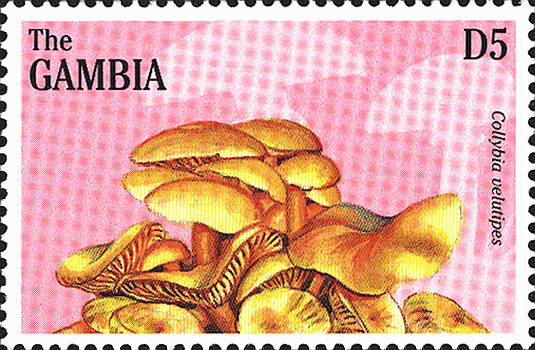 Briefmarke