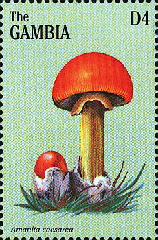 Briefmarke