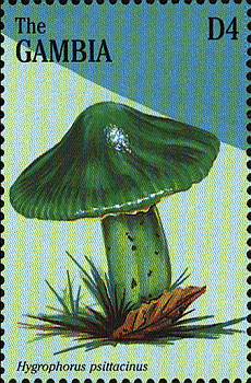 Briefmarke