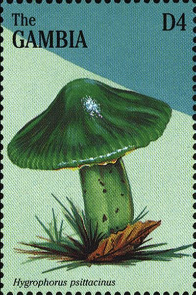 Briefmarke