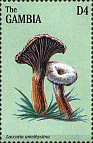 Briefmarke
