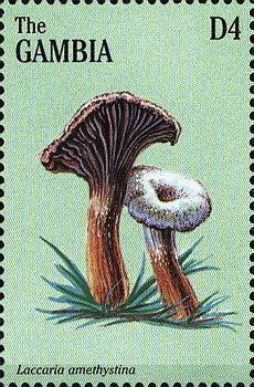 Briefmarke