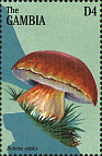 Briefmarke