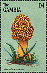 Briefmarke