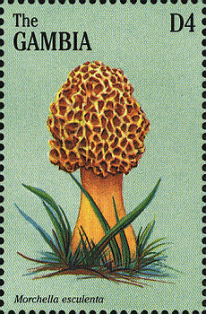 Briefmarke