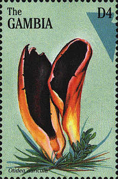 Briefmarke
