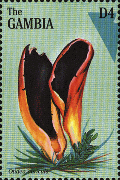 Briefmarke