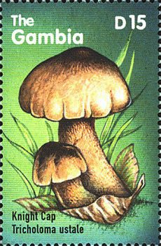 Briefmarke