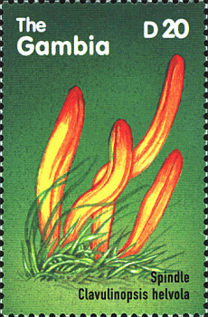 Briefmarke